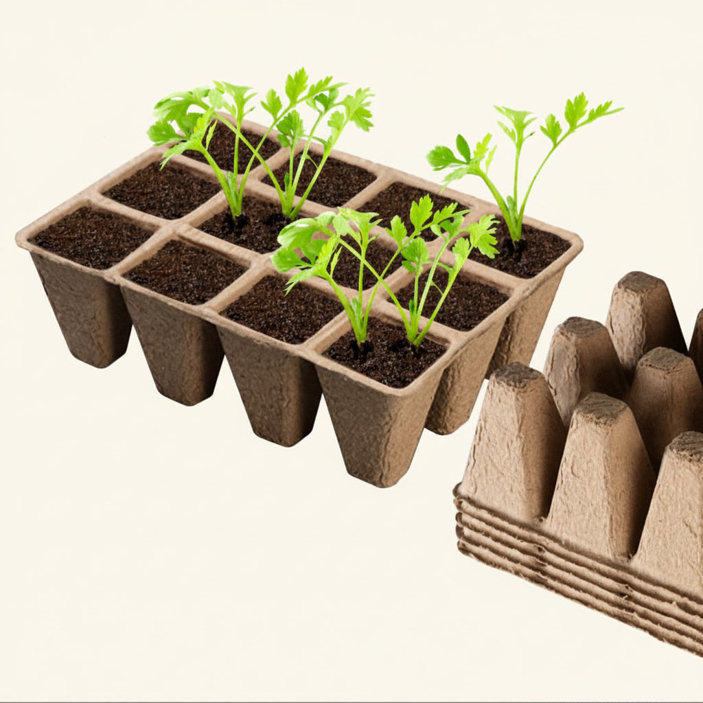 Biodegradable Seedling Nursery Pots 12-Hole