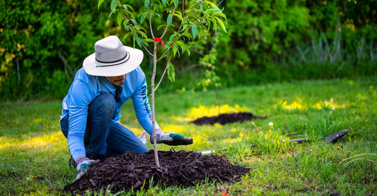 Why Sustainability Matters: The Importance of Recyclable and Biodegradable Materials in Everyday Life
