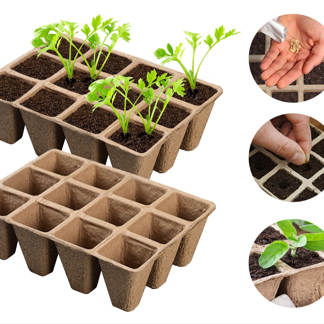 Biodegradable Seedling Nursery Pots 12-Hole