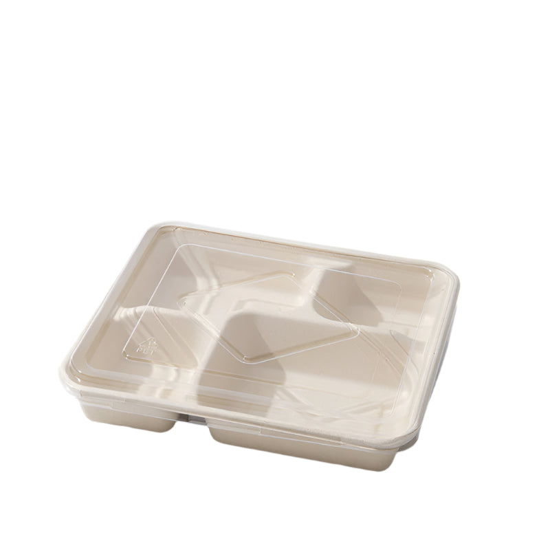 Eco Friendly Lunch Boxes