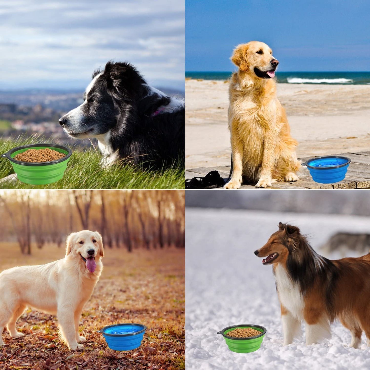 Reusable Silicone Folding Dog Bowl