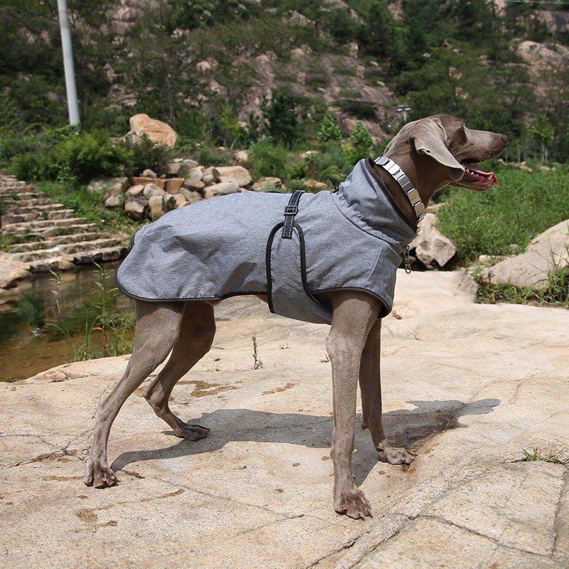 Recycled Polyester Dog Jacket