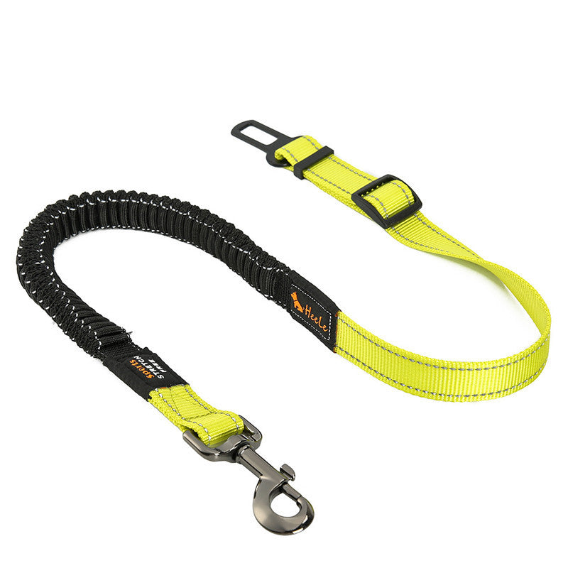 Pet Safety Buckle