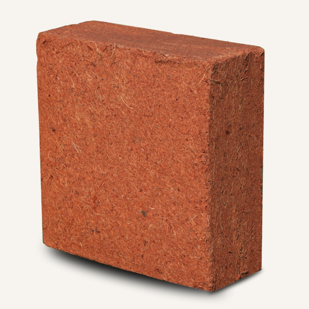 Coconut Coir Bricks