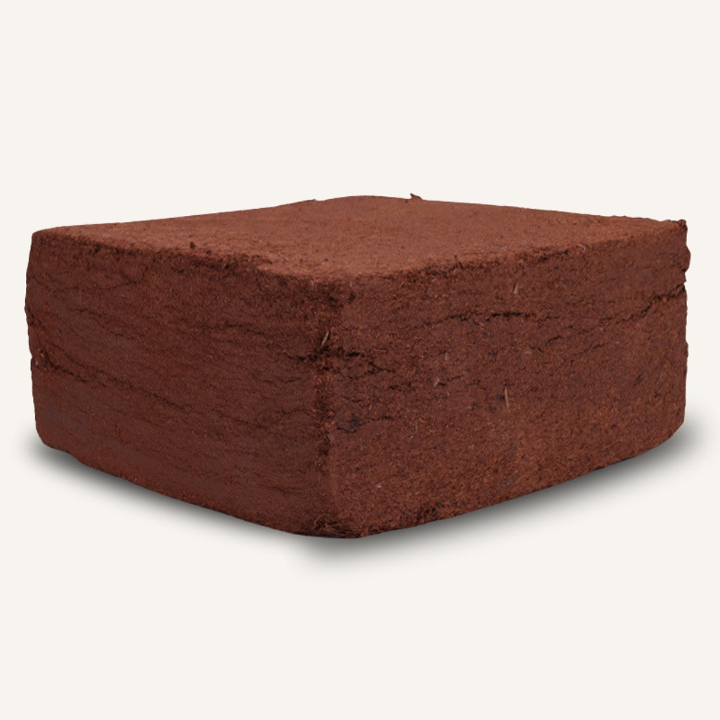 Coconut Coir Bricks