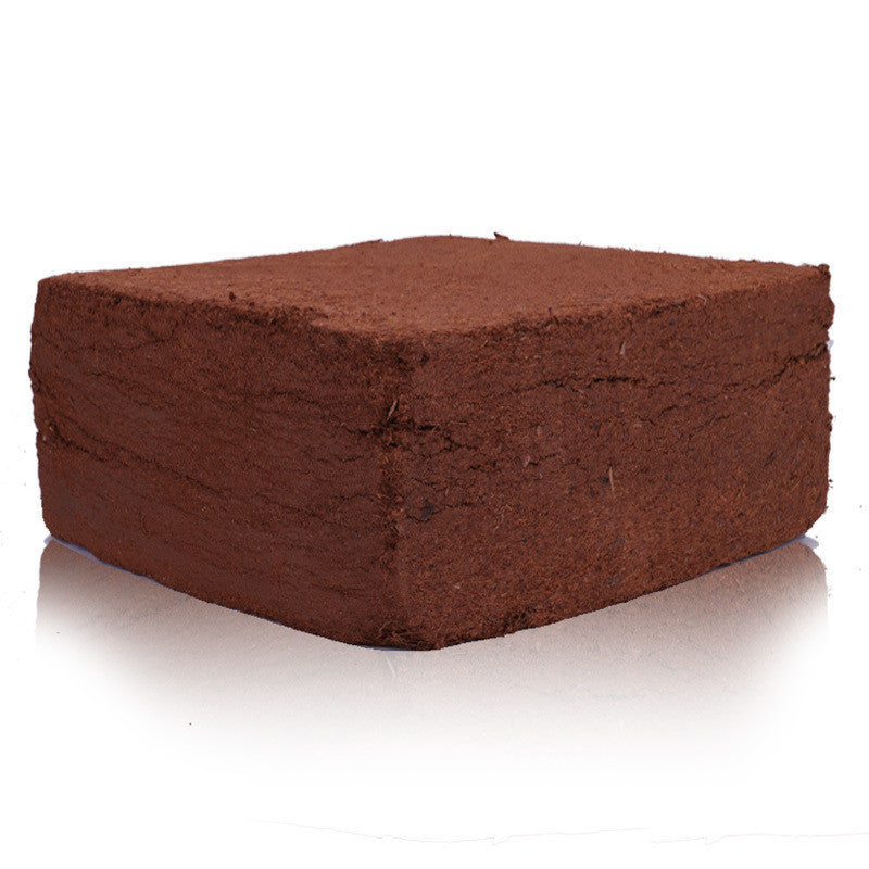 Coconut Coir Bricks