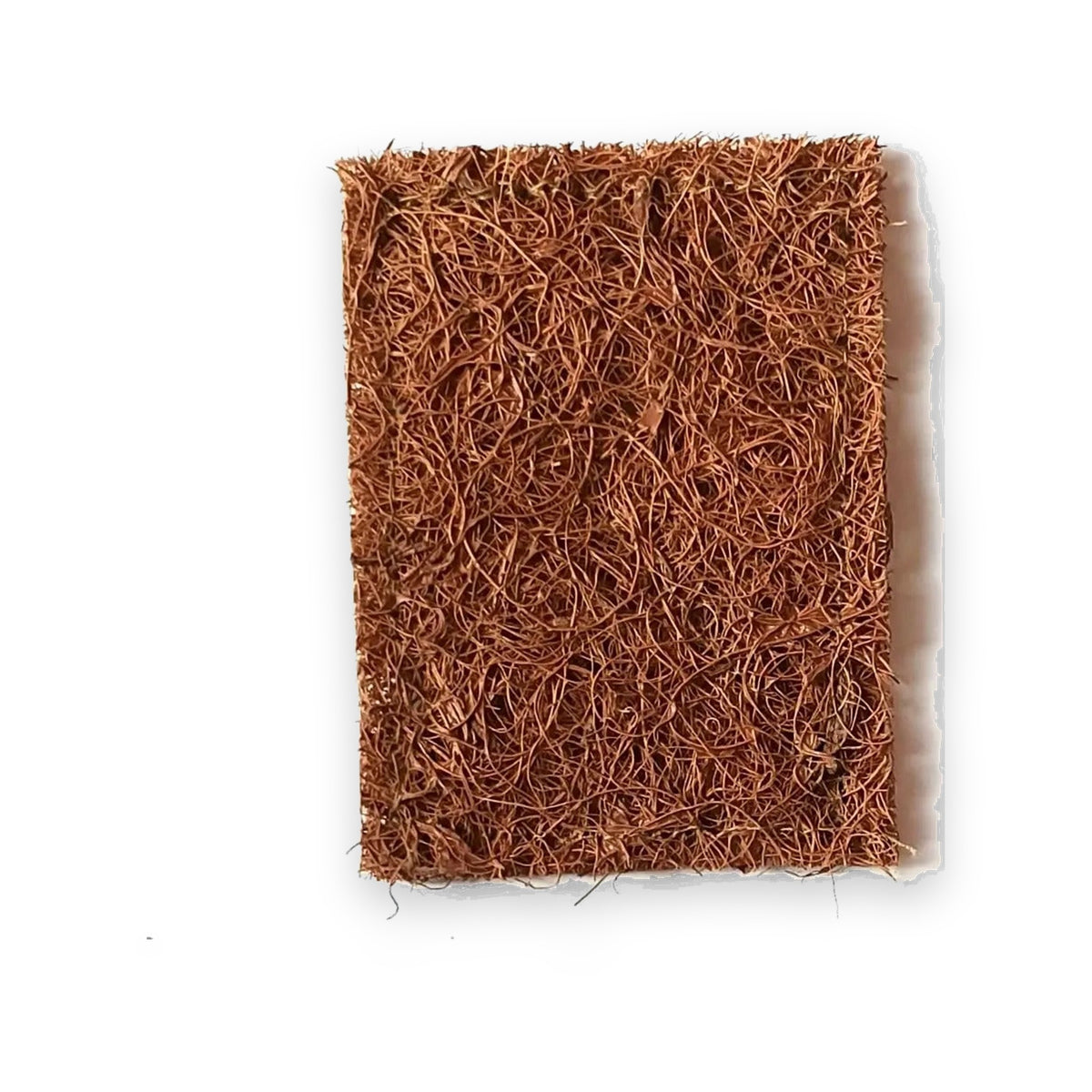 Coconut Fibre Scrub Pad – Large